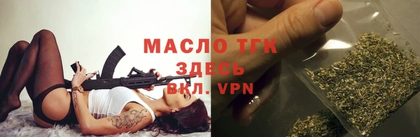 молекула духа Няндома