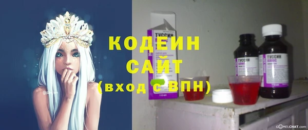 молекула духа Няндома