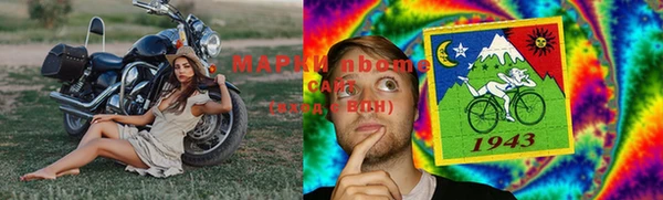 молекула духа Няндома