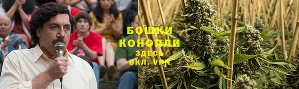 ALPHA PVP Нягань