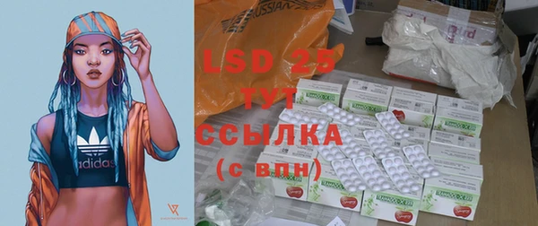гидра Тавда