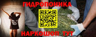 трава Партизанск