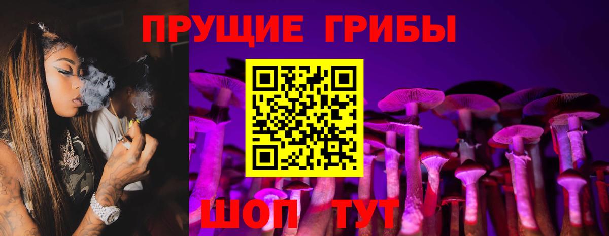 сколько стоит  Вход с VPN  Алексеевка  Галлюциногенные грибы прущие грибы  Галлюциногенные грибы Psilocybe 